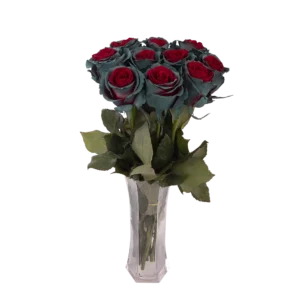 samourai christmas green